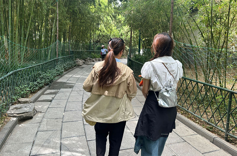 �����t(y��)�W(xu��)Ժ�W(xu��)�ӣ�հ���������������мtɫ����