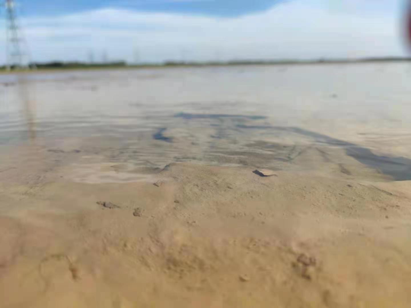 �o(h��)�S�Ӄ� �����B(t��i)��