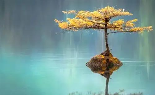 L(zhng)һc(din)˄(l)־