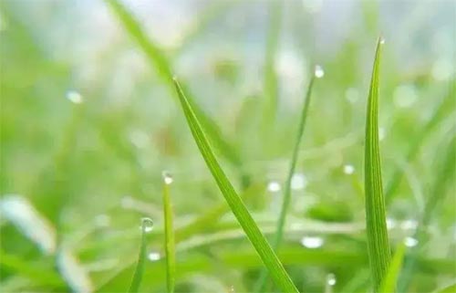 ���^������