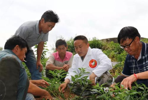 ?jin)^(zhn)Óؚһի@(ni)Sӯ