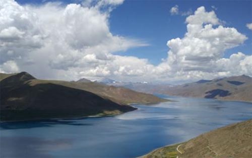 �R���ٻ���ֻ���������ĸ�ɣ��