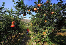 �۽����hʯ��ƣ������l(xi��ng)�����d�l(f��)չ