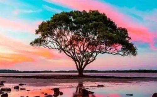 ��?ji��n)��i������؟(z��)���l(w��i)�҈@��߅��"�C��"