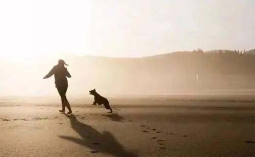 ��W���IҎ������