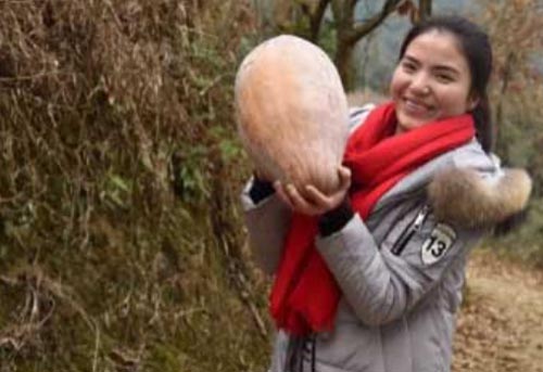 wt׌l(xing)خa(chn)Ʒ߳ɽ