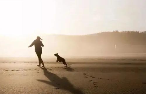 ���˰lչҎ����