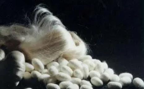 �ϝ����졪��һͬ�I�Ԃ��y(t��ng)�Q�z�Ļ�