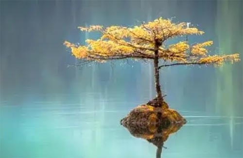 �����I����Ҏ����ِ���v��