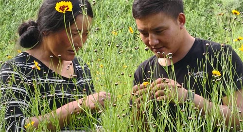 _ɼӈ(jin)ظԭd,ɽÓؚ