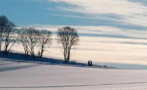 �����IҎ����"ʮ��"����