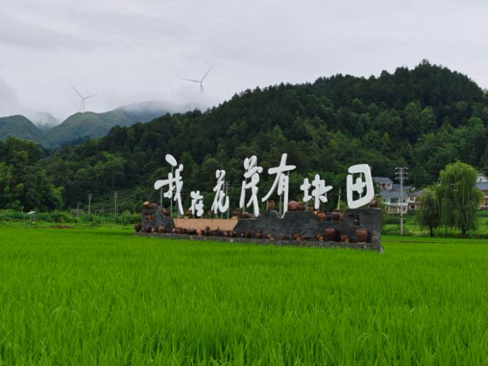 ഺ֮ldƪ£ArWMxï{Ќ`o